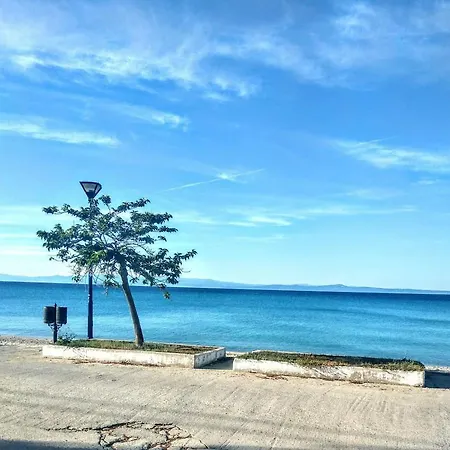 Vakantiehuis χαλκιδικη 10μ. μπροστα στη θαλασσα του πολυχρονου Polychrono